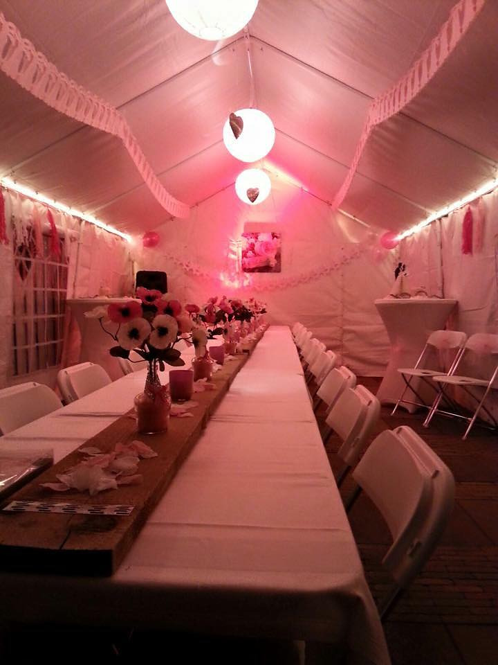 Luxe pro. PVC Partytent 6m x 6m - Afbeelding 5